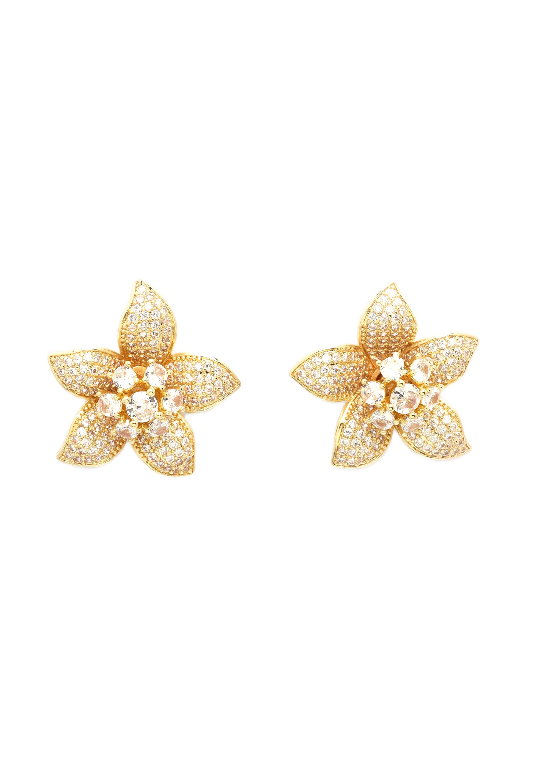 Gouden Orchidee Stralingsset