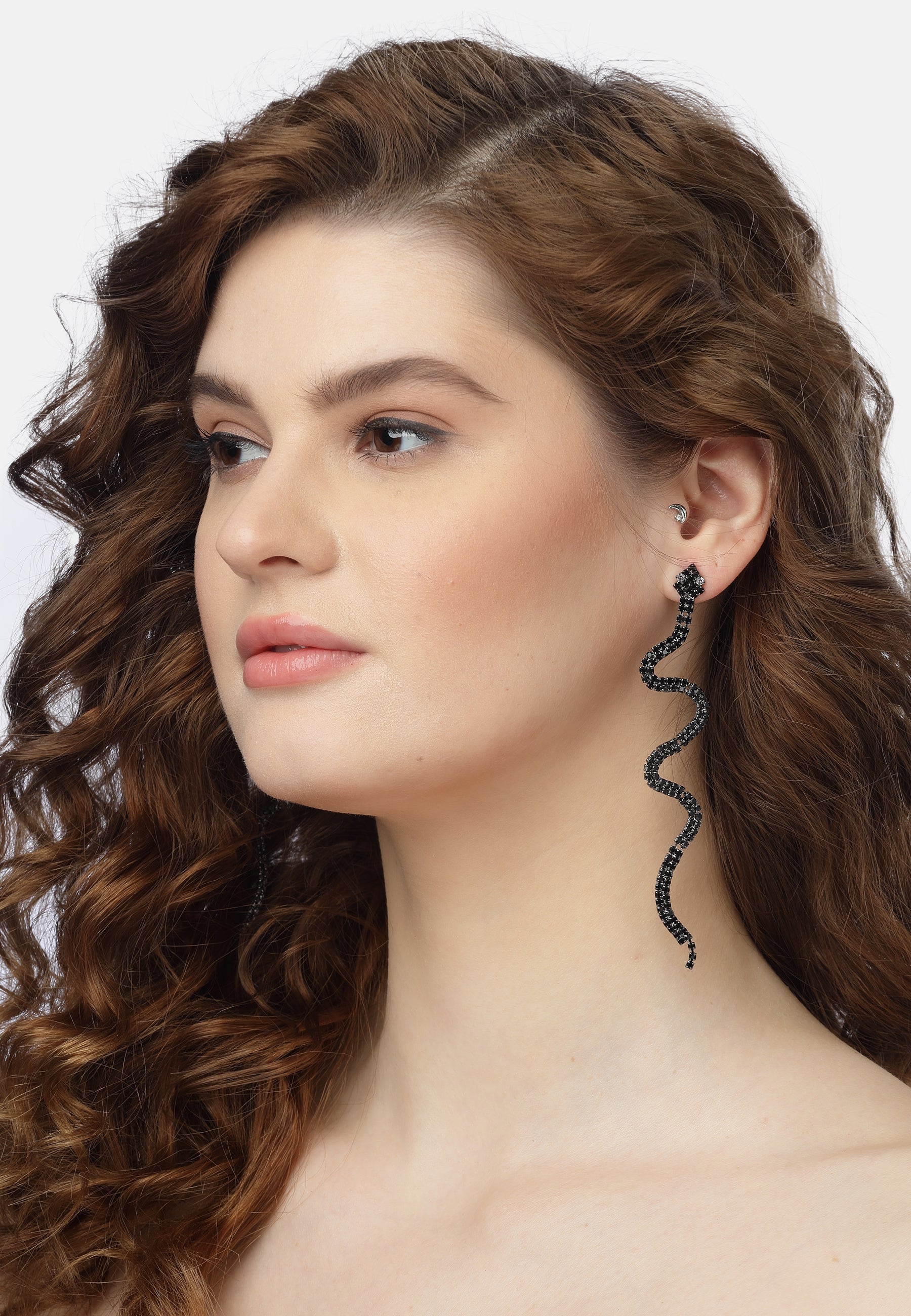 Stylish Snake Long Earrings